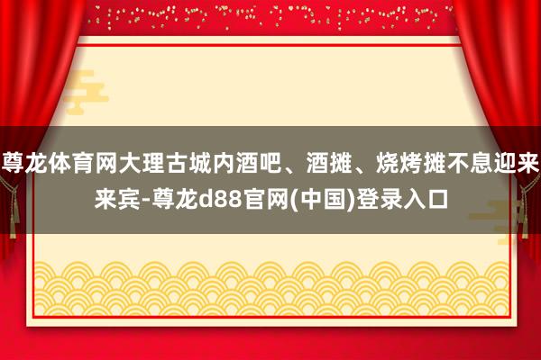 尊龙体育网大理古城内酒吧、酒摊、烧烤摊不息迎来来宾-尊龙d88官网(中国)登录入口